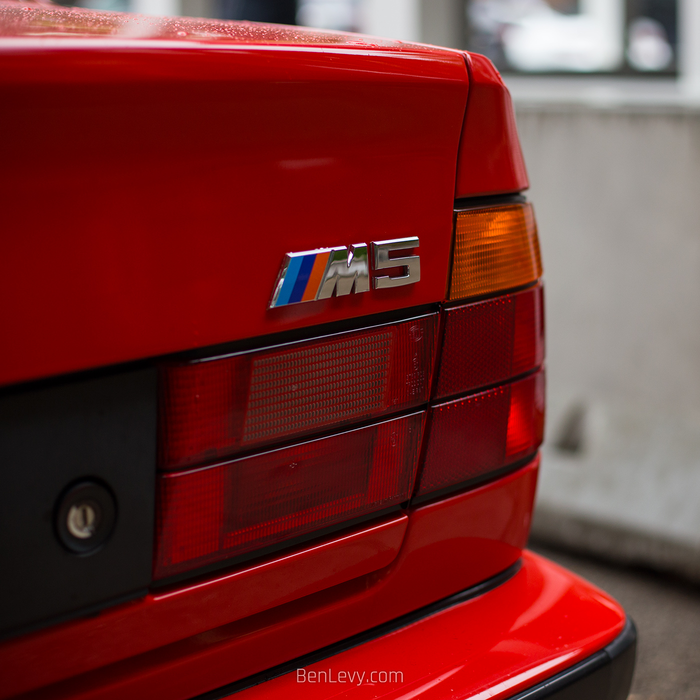 Rear BMW M5 Badge