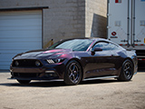 Purple Wrap on Supercharged Ford Mustang GT