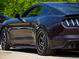 Purple Wrap on Ford Mustang GT