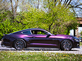 Purple S550 Ford Mustang in Chicago Suburb