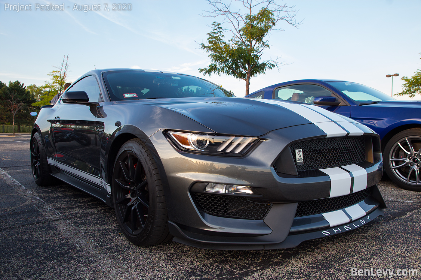 White Stripes on Grey Ford Shelby GT350