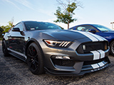 White Stripes on Grey Ford Shelby GT350