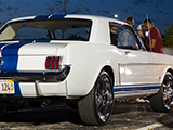 White Mustang with Blue Stripes