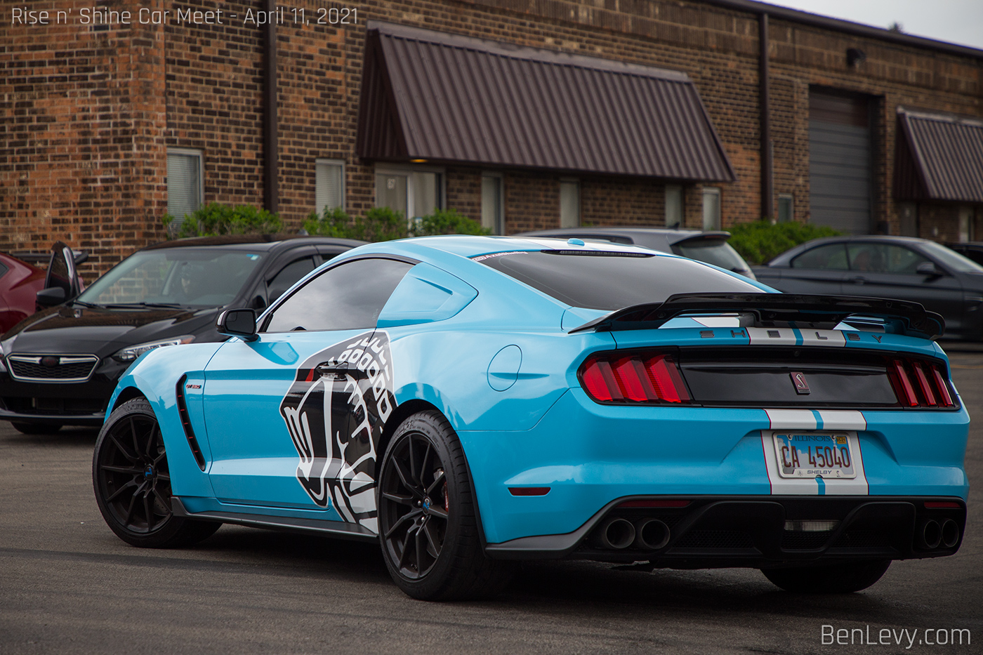 Cobra Graphic on Mustang Shelby GT350