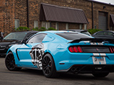 Cobra Graphic on Mustang Shelby GT350