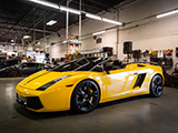 Yellow Lamborghini Gallardo Spider at Chicago Auto Pros in Lombard