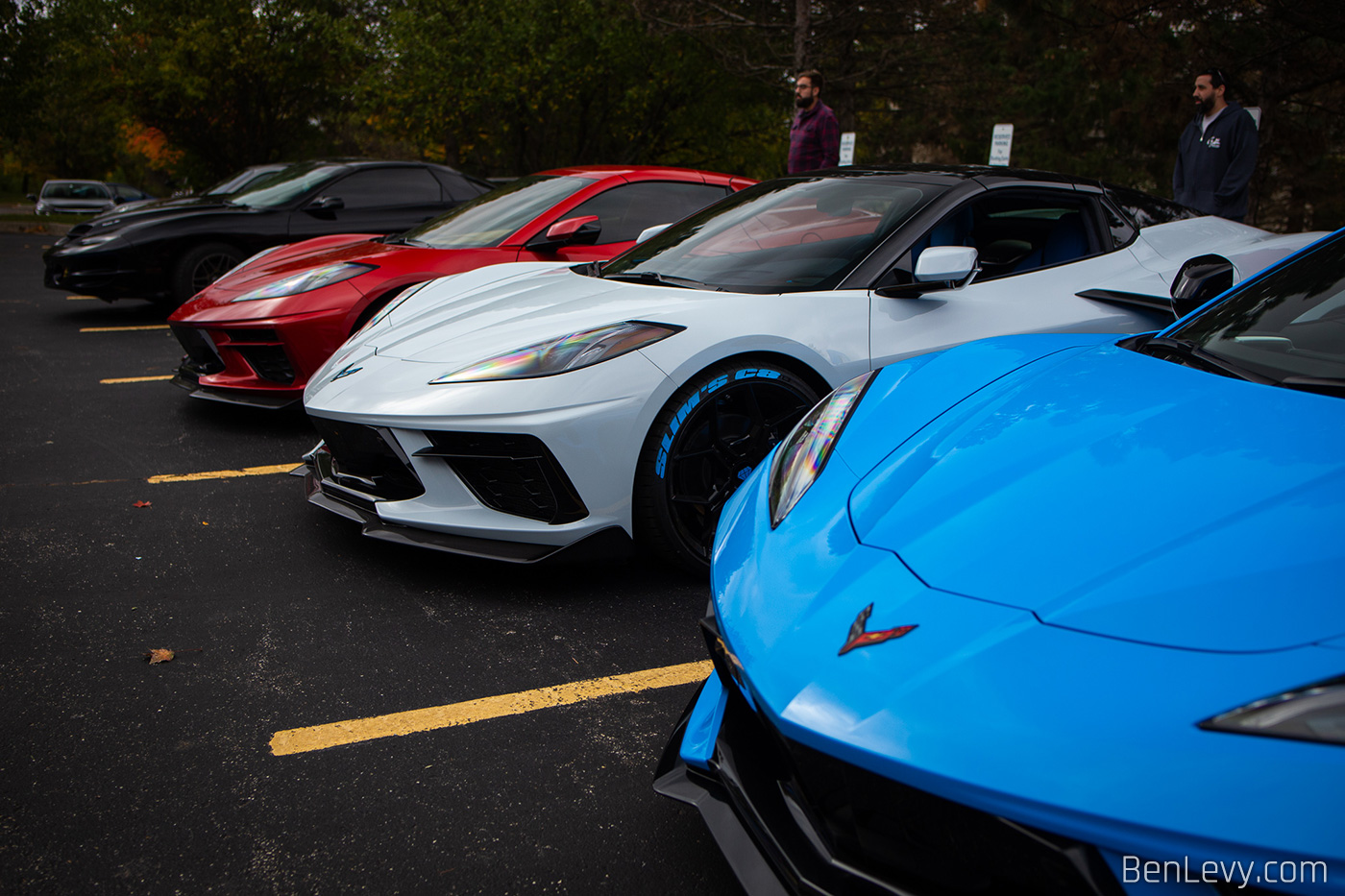 Red, White, and Blue C8 Corvettes