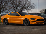 Orange Ford Mustang 5.0