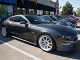 Grey Ford Mustang GT