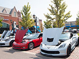 Corvettes at Supercar Saturday
