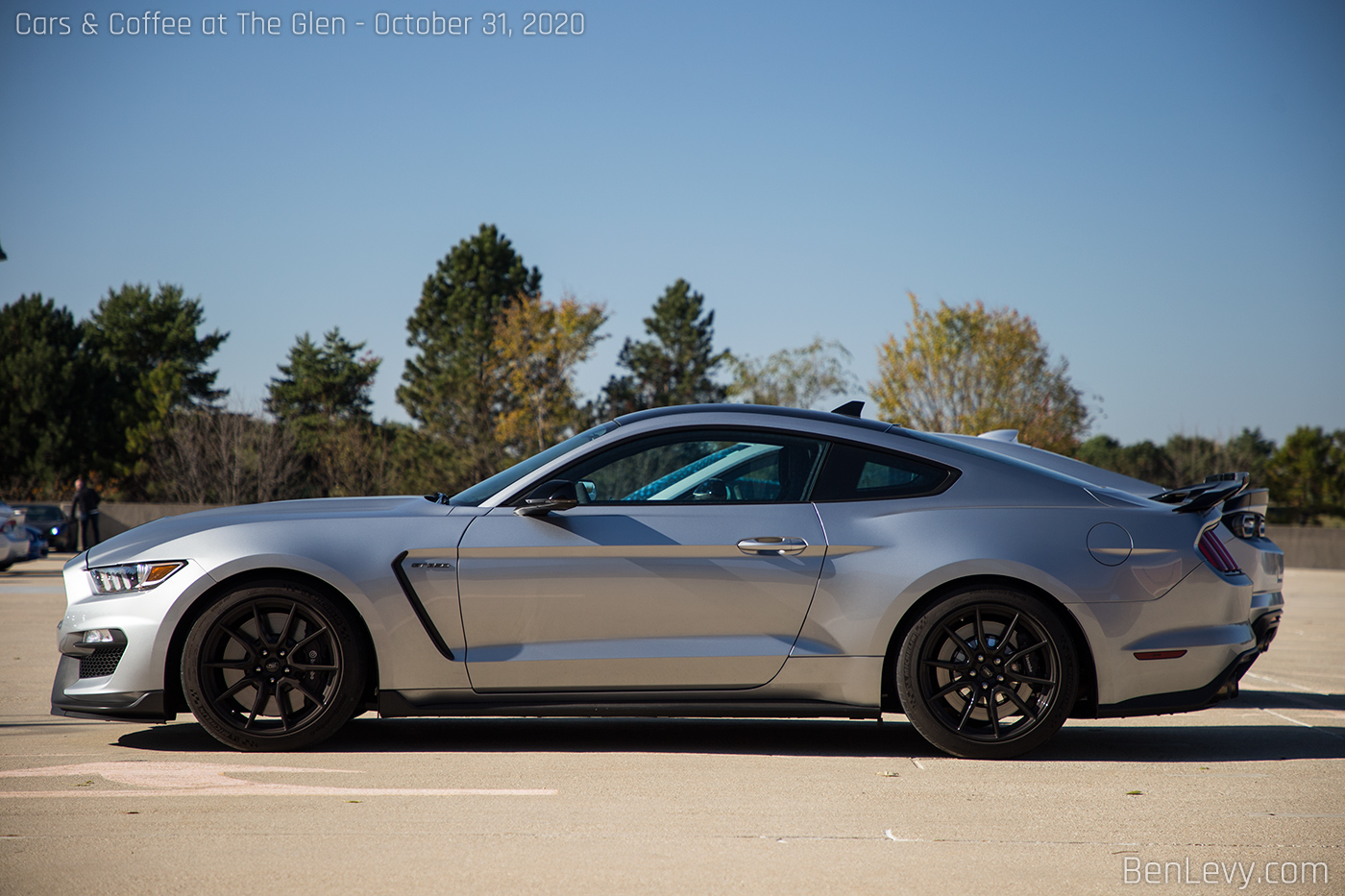 Silver Ford Mustang Shelby GT350