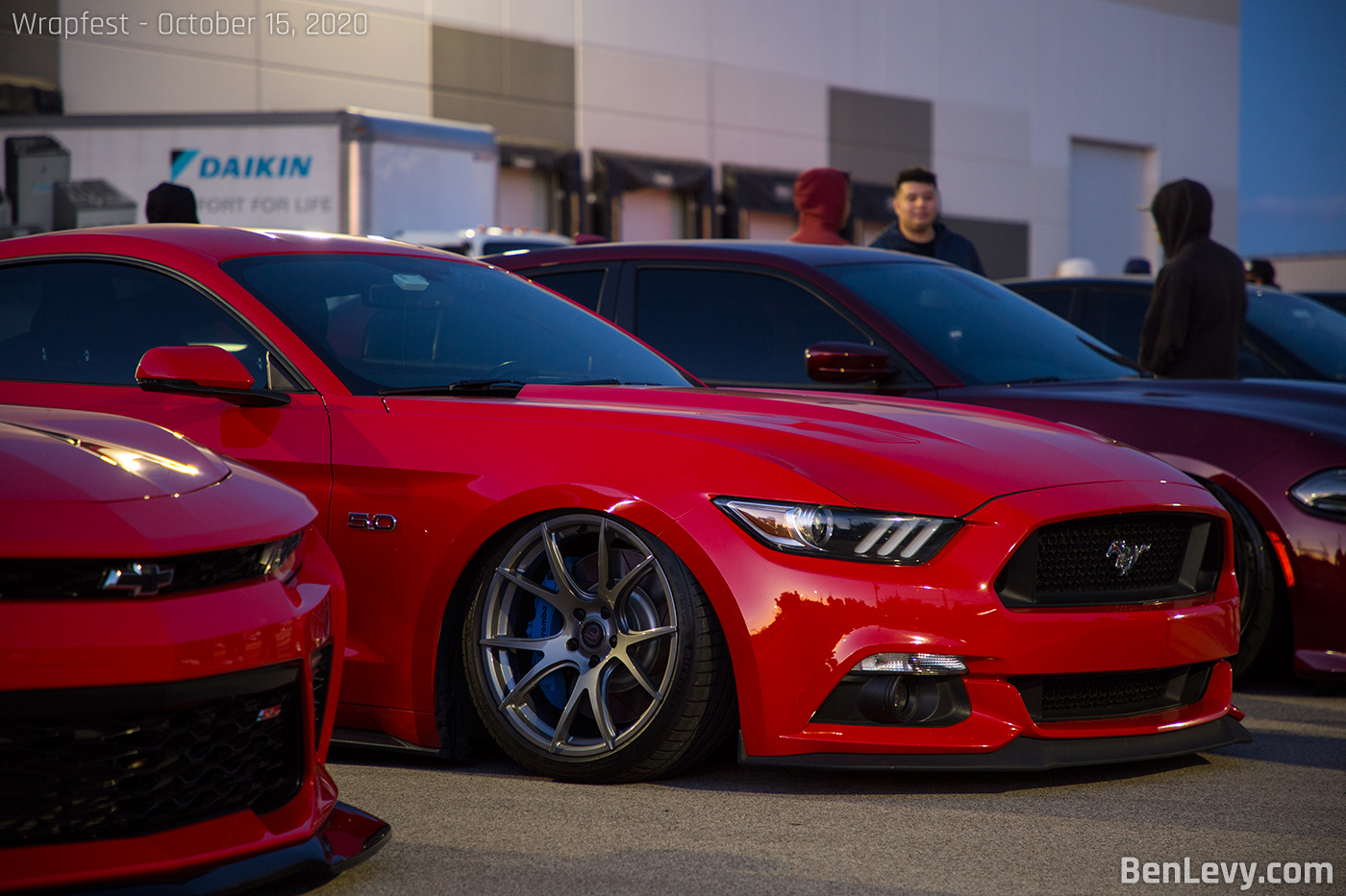 Dropped Ford Mustang 5.0