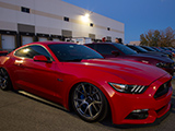 Lowered Red S550 Mustang 5.0