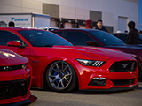 Dropped Ford Mustang 5.0