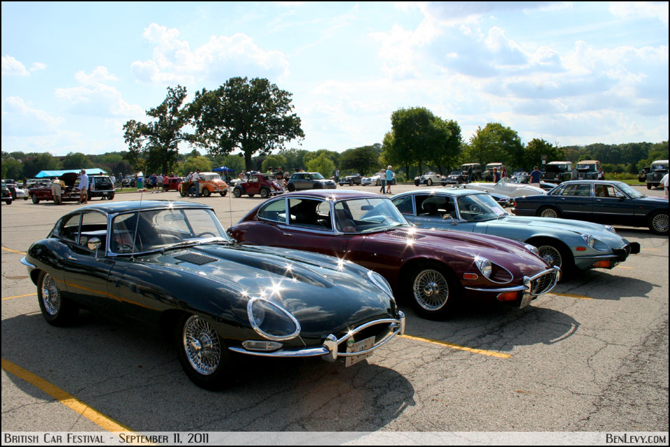 Jaguar XKs