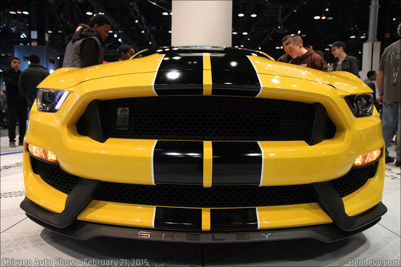 Grille of a Ford Mustang Shelby GT350