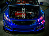 Blue Accord Coupe for NvUS Illinois