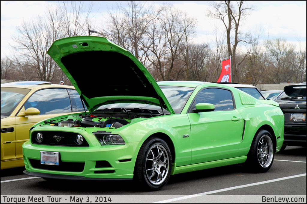 Ford Mustang in Gotta Have it Green