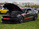 Black Ford Mustang Shelby GT500 with red Stripes
