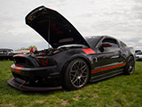Black Ford Shelby GT500 at Triton College