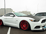 White Mustang GT with Forgestar F14 Blood Red wheels