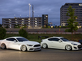 White Ford Mustang and Hyundai Genesis