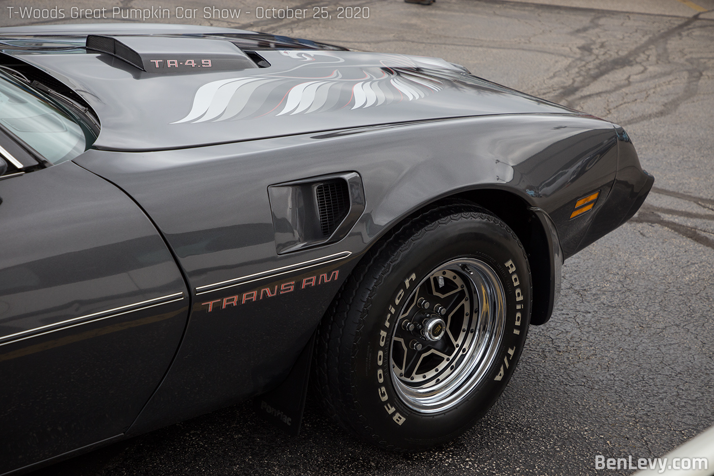 Pontiac Firebird Trans Am fender