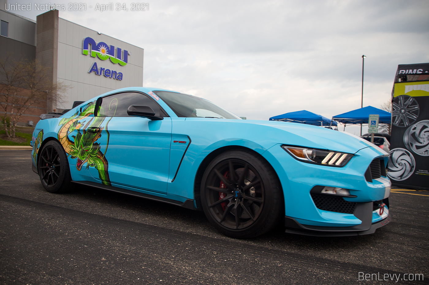 Dragon Graphic on Blue Shelby GT 350