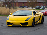 Yellow Lamborghini Gallardo from SDR Garage
