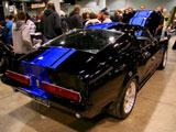 Black and Blue - Shelby GT500 SE