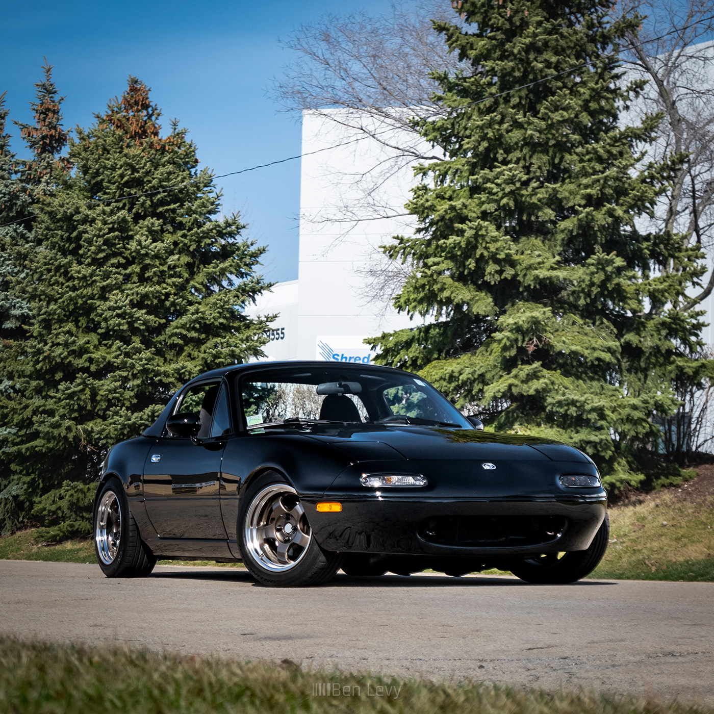Black Miata with Some Evergreen Trees in the Background
