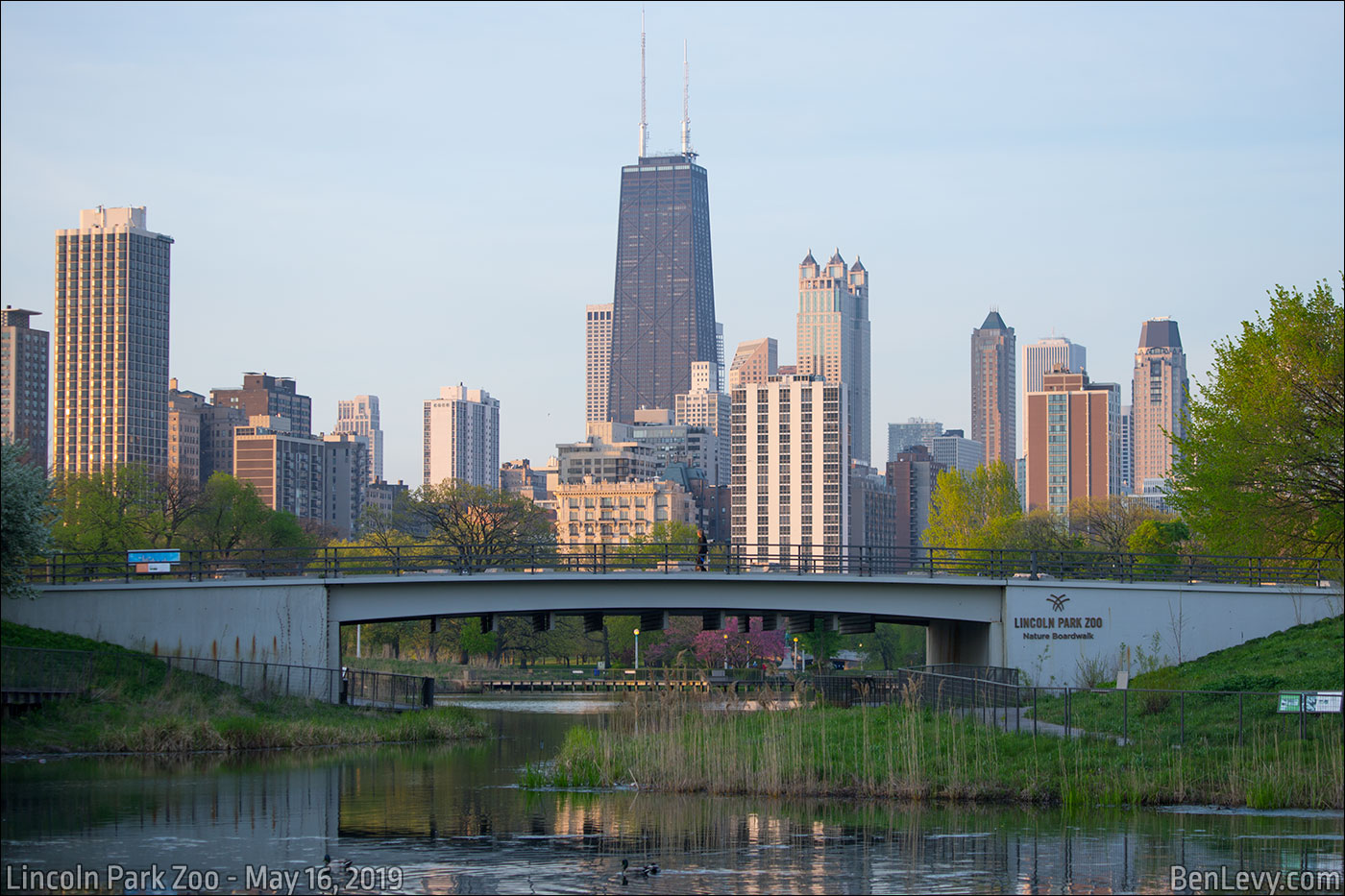 Bridge at Lincoln Park Zoo