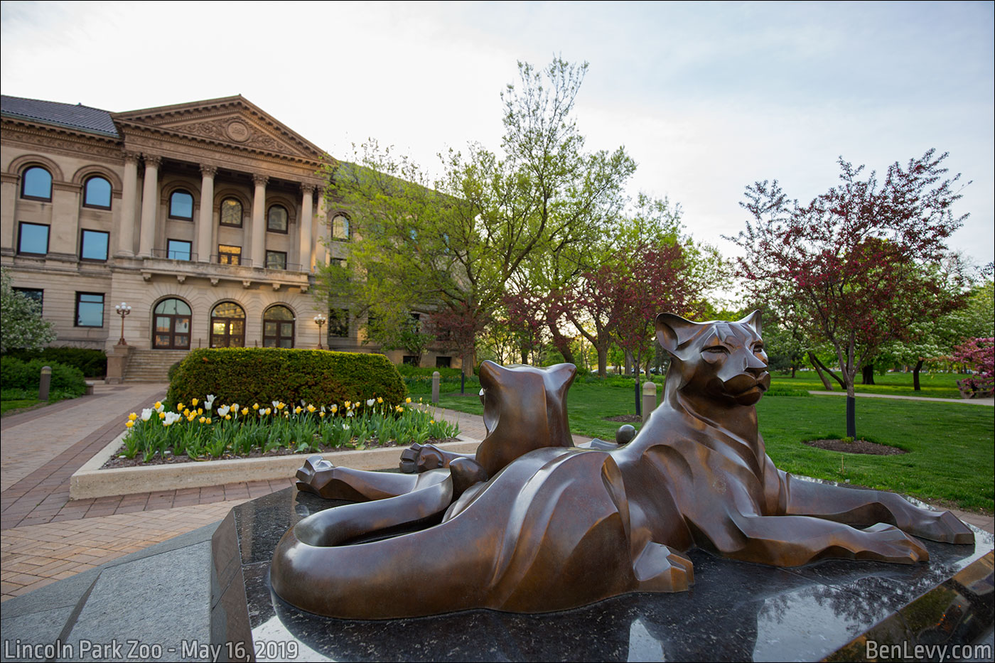 Sculpture of two mountain lions at Lincoln Park Zoo