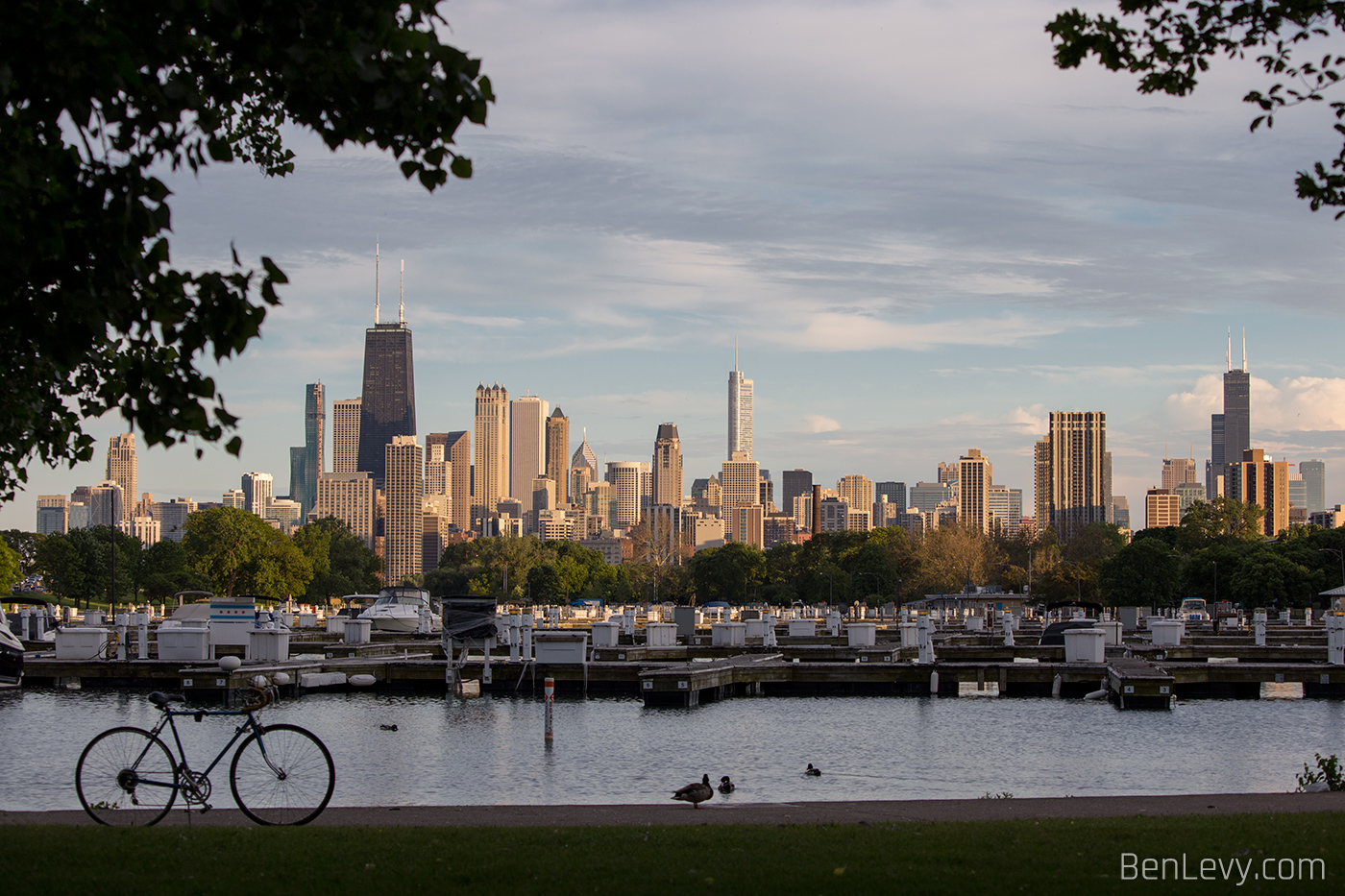 The Chicago Skyline from Diversey Harbor