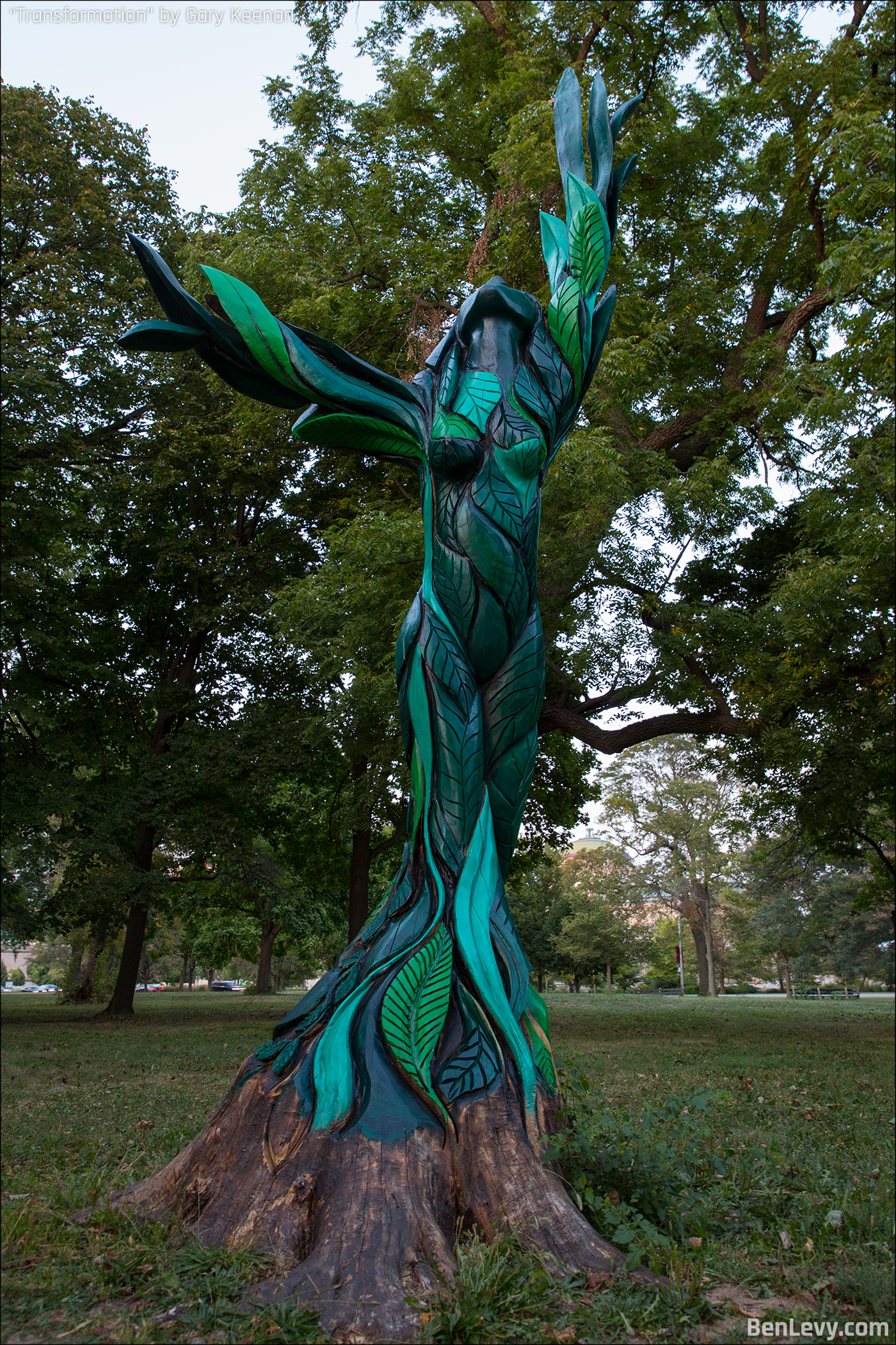 Carved tree in Jackson Park in Chicago