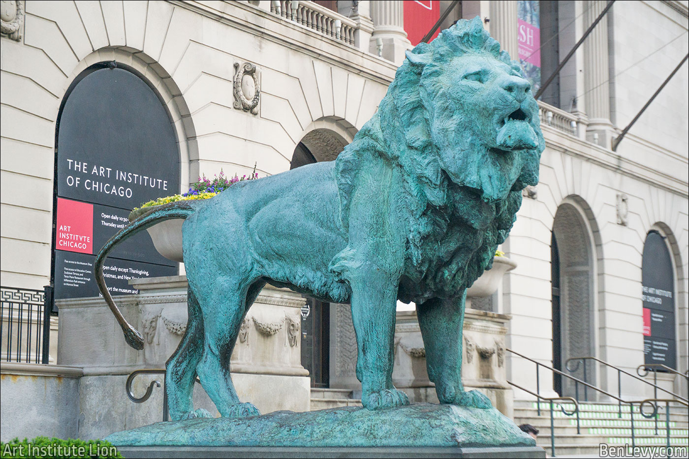 Lion at the Art Institute of Chicago
