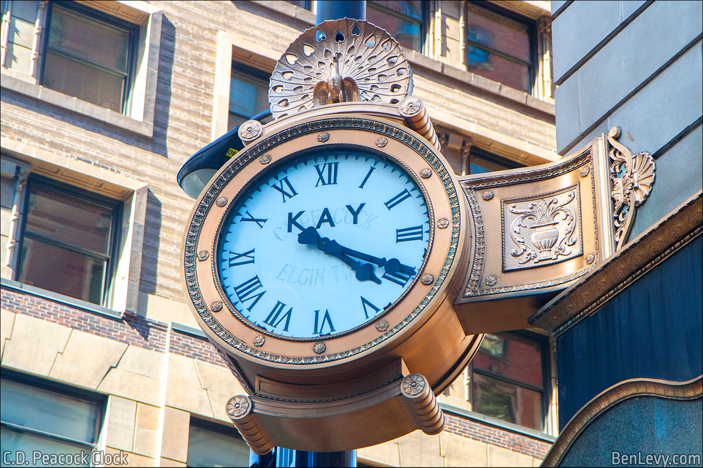 C.D. Peacock Clock