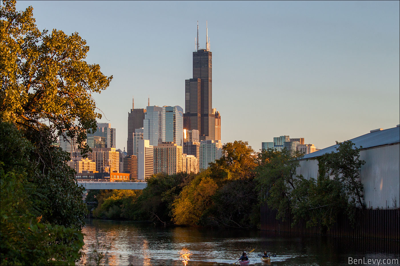 Sears Tower and the Chicago River