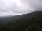 Puetro Rico's Rainforests